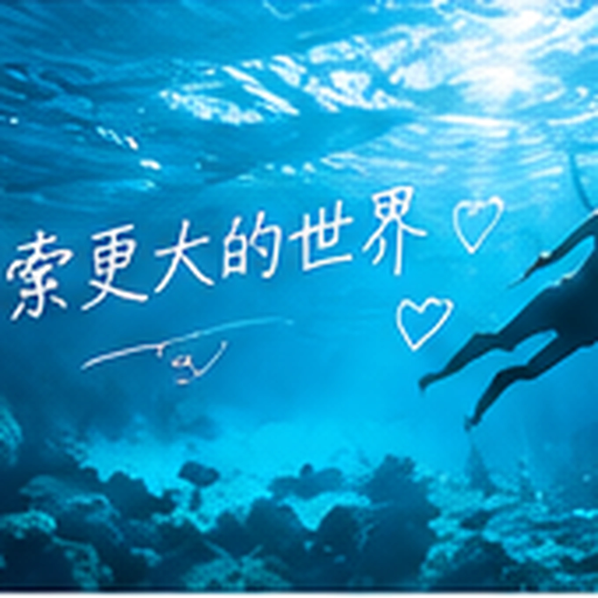 林间手持